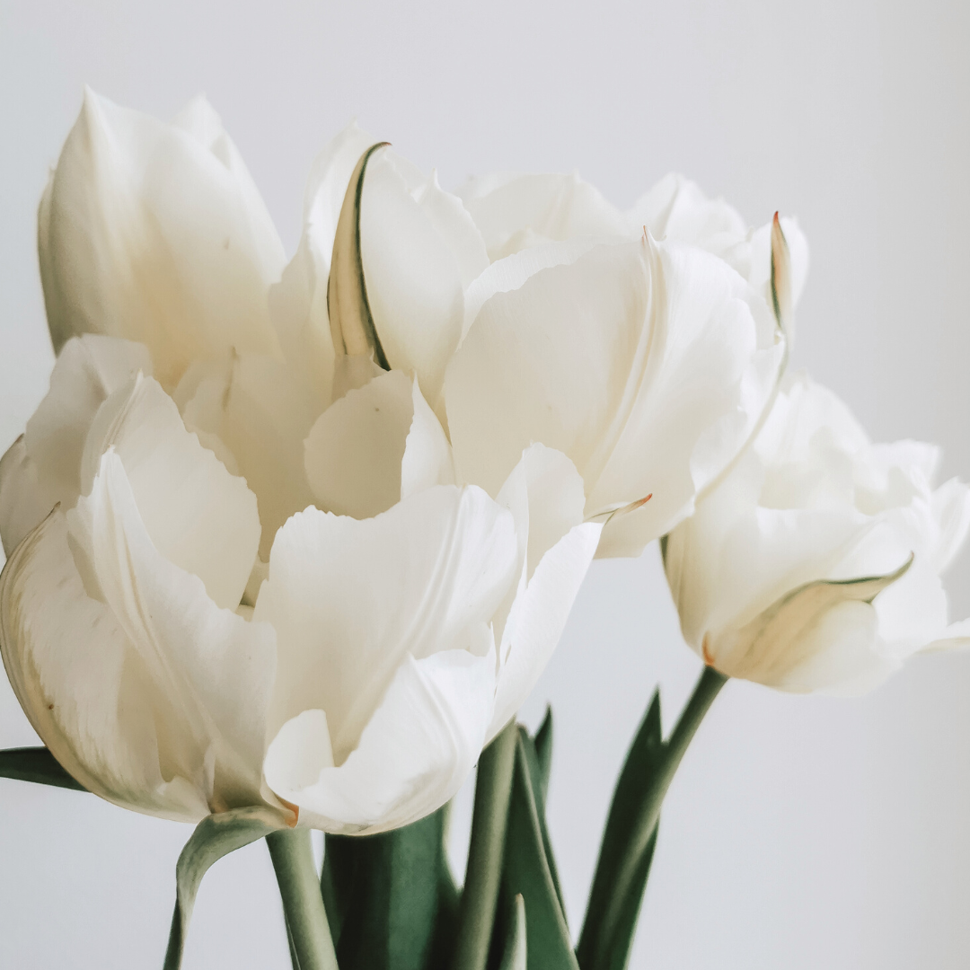 Фото новости