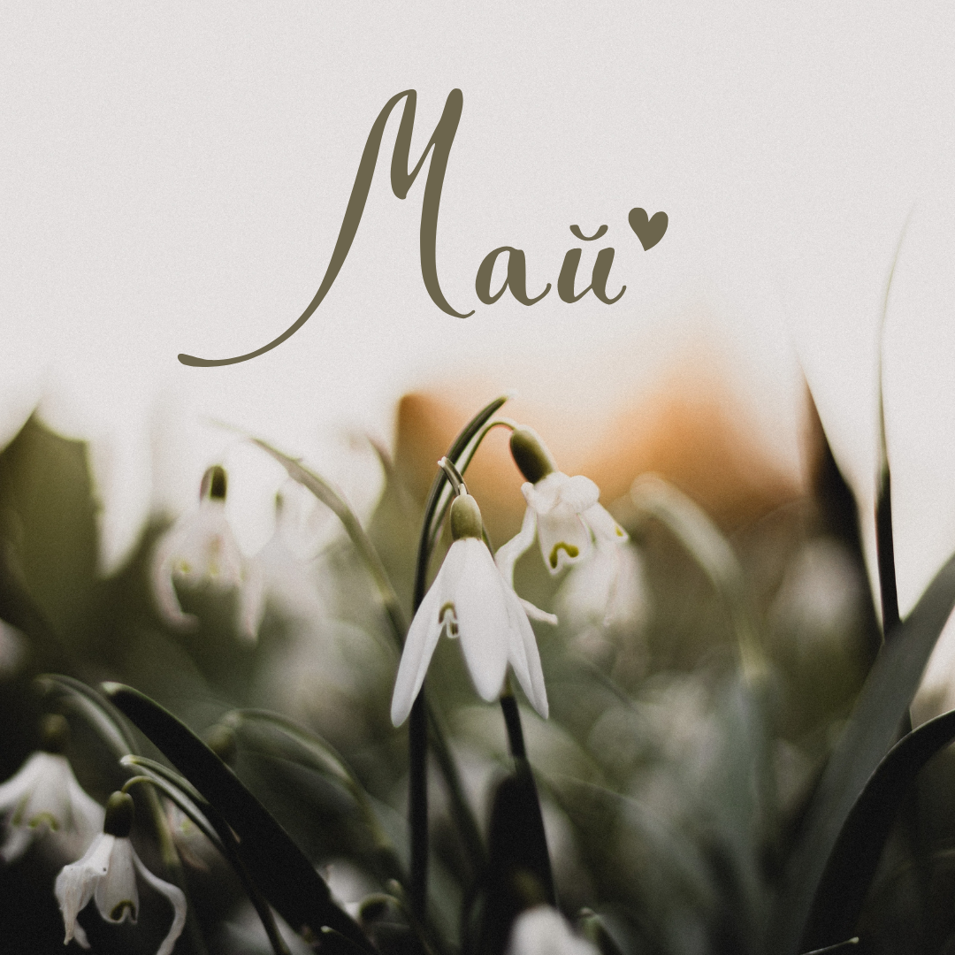 Фото новости